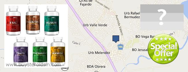 Where to Buy Steroids online Fajardo, Puerto Rico