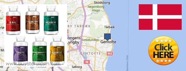 Where to Buy Steroids online Gentofte, Denmark