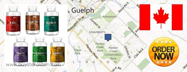 Buy Steroids online Guelph ONT, Canada Where to Buy Steroids online Guelph ONT, Canada