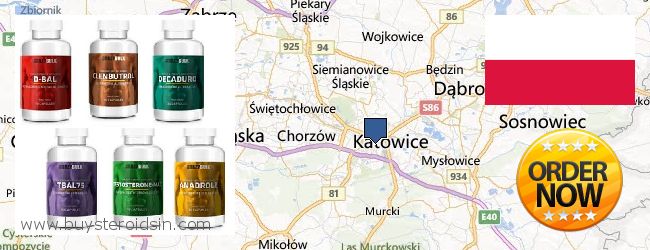 Where to Buy Steroids online Katowice, Poland