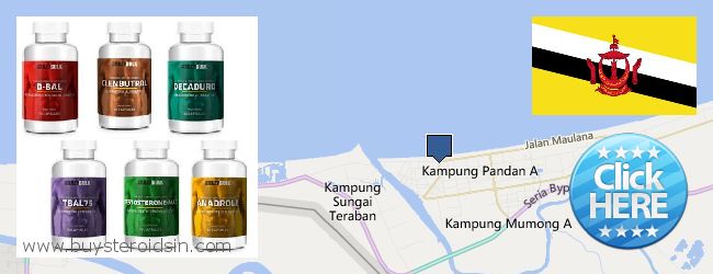 Where to Buy Steroids online Kuala Belait, Brunei