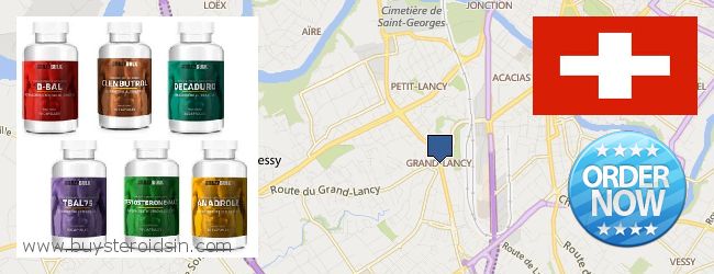 Buy Steroids online Lancy, Switzerland Where to Buy Steroids online Lancy, Switzerland