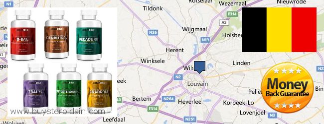 Where to Buy Steroids online Leuven, Belgium