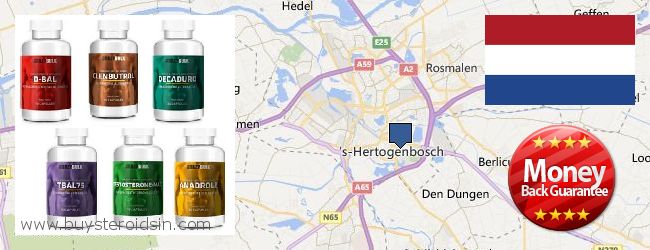 Where to Buy Steroids online s-Hertogenbosch, Netherlands