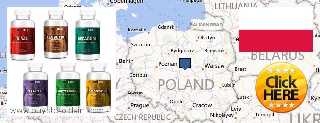 Unde să cumpărați Steroids on-line Poland