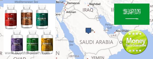 Kde koupit Steroids on-line Saudi Arabia