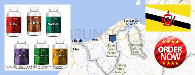 Jälleenmyyjät Steroids verkossa Brunei