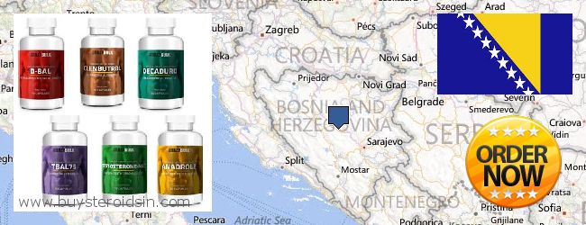 Где купить Steroids онлайн Bosnia And Herzegovina