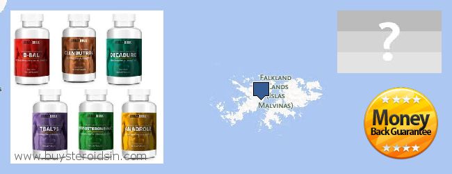 Где купить Steroids онлайн Falkland Islands