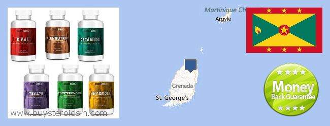 Где купить Steroids онлайн Grenada