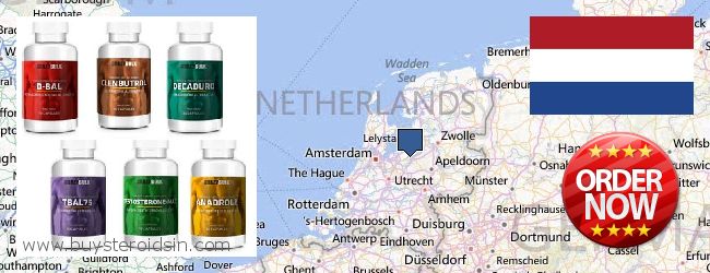 Где купить Steroids онлайн Netherlands
