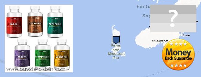 Где купить Steroids онлайн Saint Pierre And Miquelon