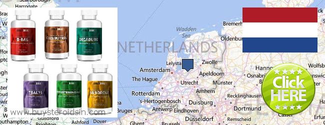 Де купити Steroids онлайн Netherlands