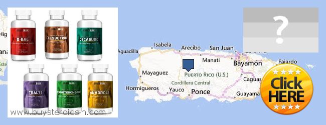 Де купити Steroids онлайн Puerto Rico