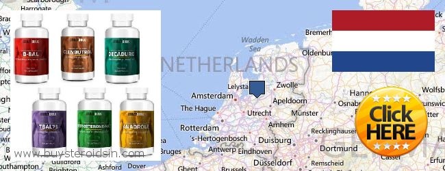 Hvor kan jeg købe Steroids online Netherlands