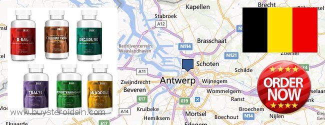 Where to Buy Steroids online Antwerp, Belgium