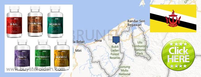 Unde să cumpărați Steroids on-line Brunei