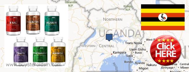 Kde koupit Steroids on-line Uganda