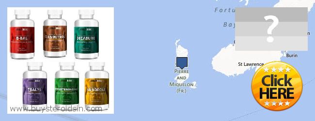 Къде да закупим Steroids онлайн Saint Pierre And Miquelon