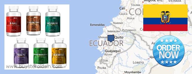 Где купить Steroids онлайн Ecuador