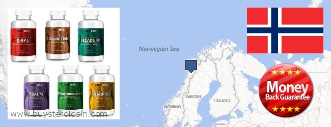 Где купить Steroids онлайн Norway