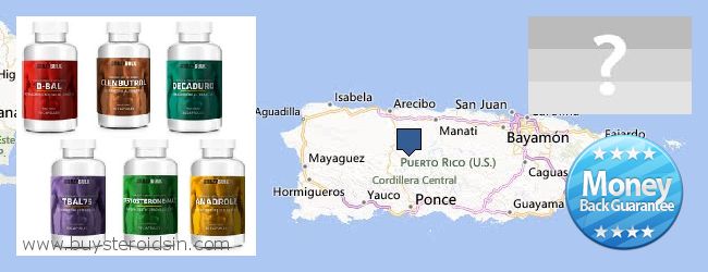 Где купить Steroids онлайн Puerto Rico